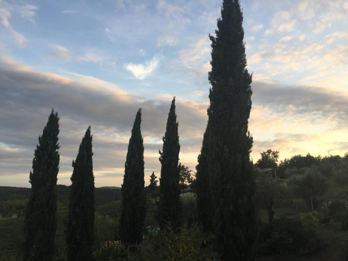 Agriturismo Malpensata Radda in Chianti Ngoại thất bức ảnh