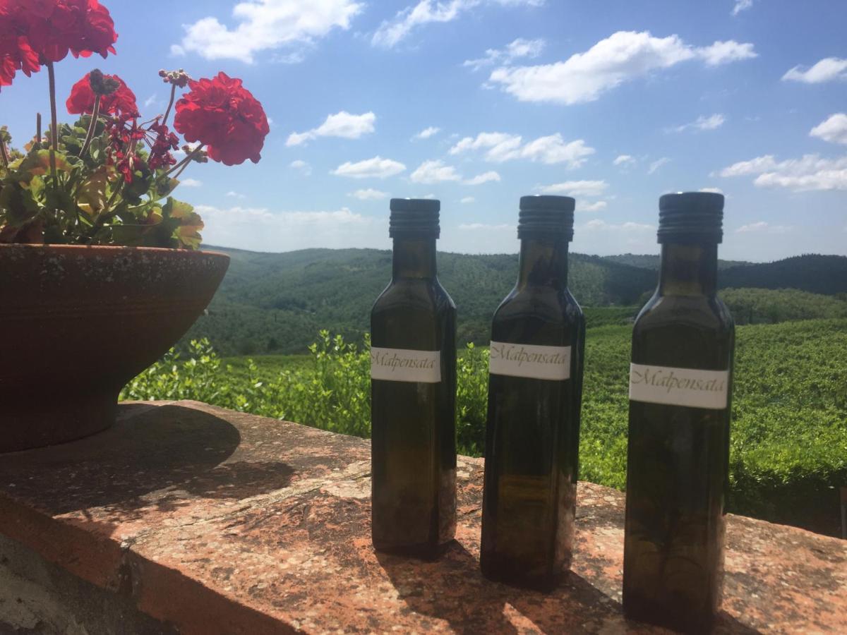 Agriturismo Malpensata Radda in Chianti Ngoại thất bức ảnh