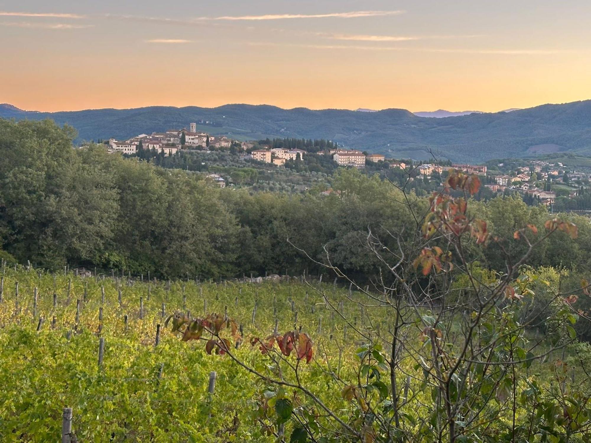 Agriturismo Malpensata Radda in Chianti Ngoại thất bức ảnh