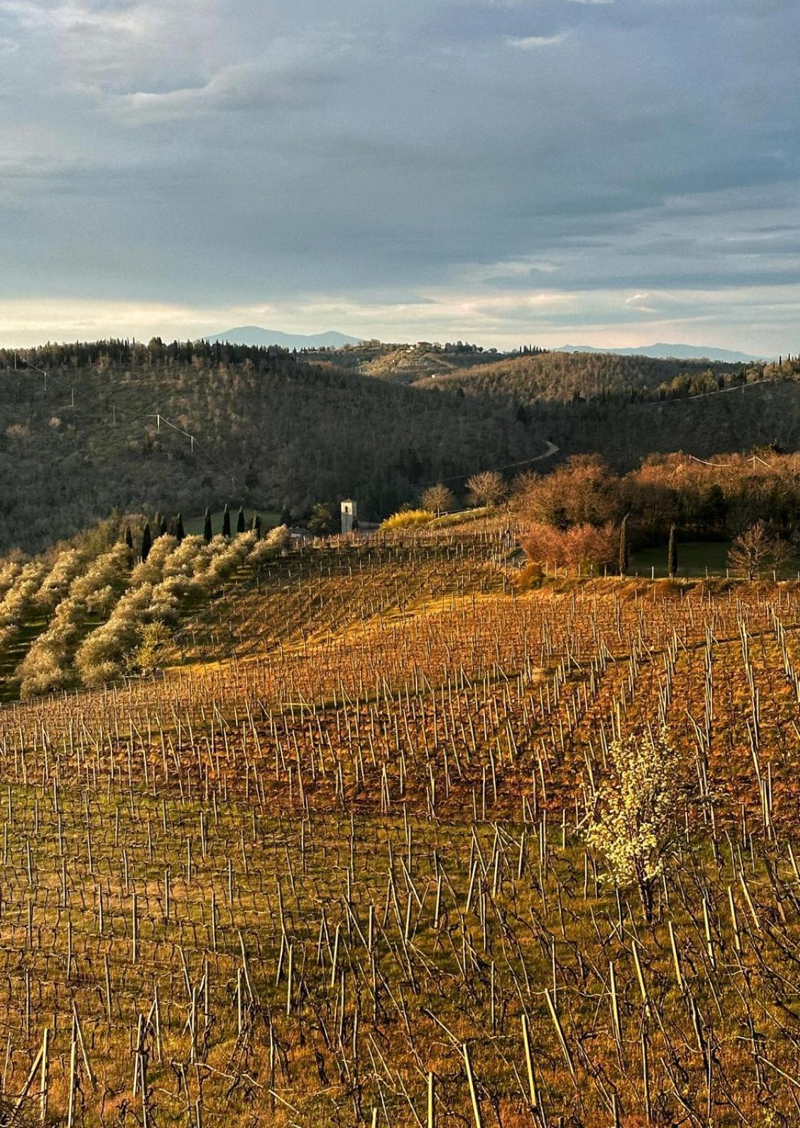 Agriturismo Malpensata Radda in Chianti Ngoại thất bức ảnh