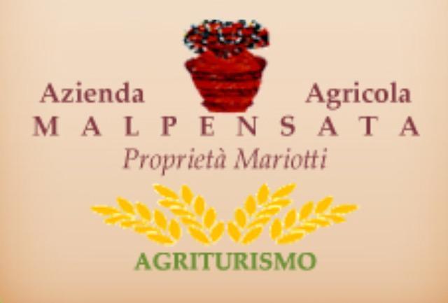 Agriturismo Malpensata Radda in Chianti Ngoại thất bức ảnh
